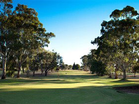Loxton SA Darwin Tourism