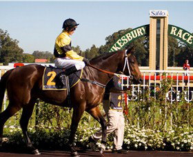 Hawkesbury Race Club - Darwin Tourism 2