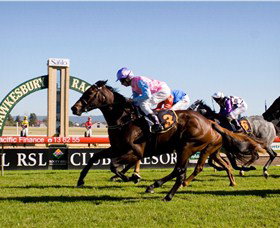 Hawkesbury Race Club - Darwin Tourism 1