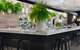 Ivy Bar - thumb 2