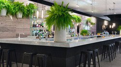 Ivy Bar - Darwin Tourism 2