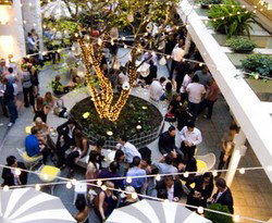 Ivy Bar - Darwin Tourism 3