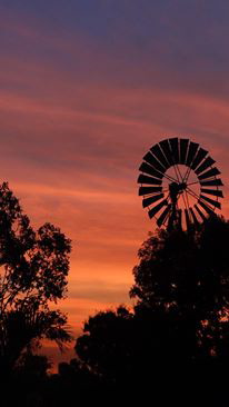 Emerald Springs Roadhouse - Darwin Tourism 5