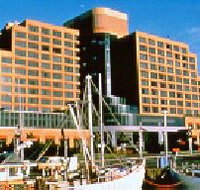 The Atrium Bar - Darwin Tourism