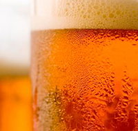 Myssy's Fresh amp Cooked Seafood - Darwin Tourism