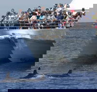 MoonshadowTQC Cruises - Darwin Tourism