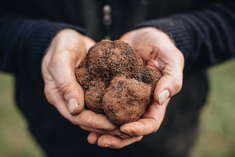 A Taste Of Truffles - Darwin Tourism 0