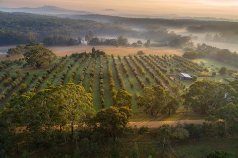 A Taste Of Truffles - Darwin Tourism 1