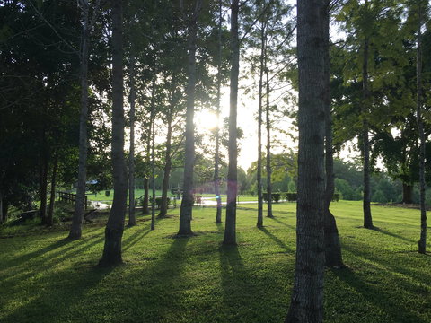 Celebration Outing Special - Darwin Tourism 0