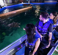 Glass Bottom Boat Tour - Darwin Tourism