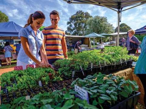 Margaret River Farmers Market - Darwin Tourism 1