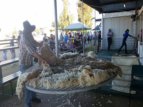Narrabri Show - Darwin Tourism 0