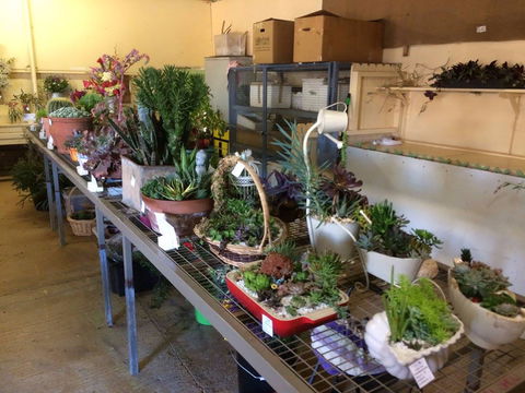 Narrabri Show - Darwin Tourism 2