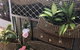 Nightcliff Markets - thumb 2