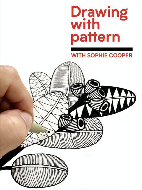 Online Live Streaming Class: Drawing With Pattern - Darwin Tourism 0