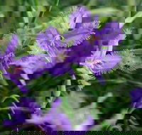 Our Campbelltown - Darwin Tourism