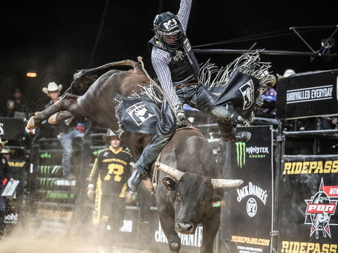 PBR Hawkesbury Stampede - Darwin Tourism 0