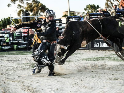 PBR Hawkesbury Stampede - Darwin Tourism 2