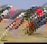 Pride of the West Races 2020 - Darwin Tourism