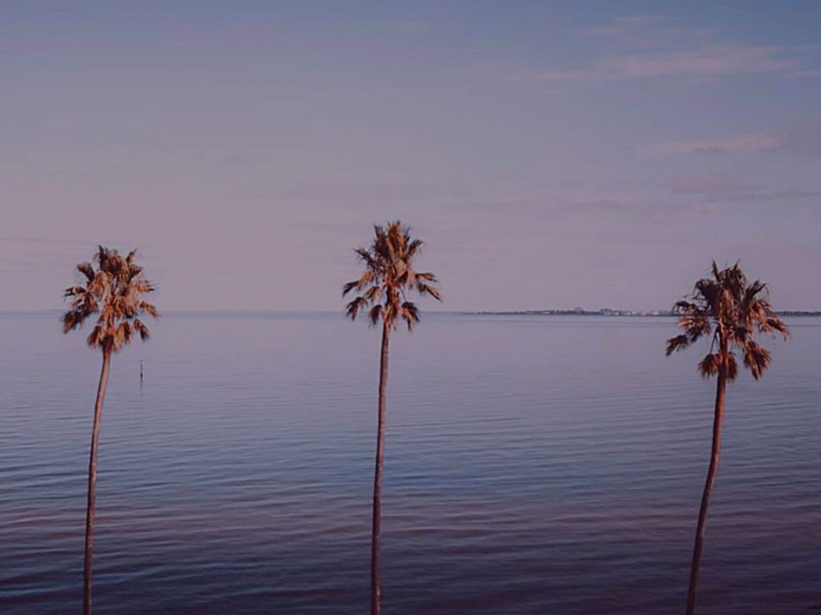 St Kilda VIC Darwin Tourism