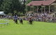 Tumut Derby Day - thumb 0