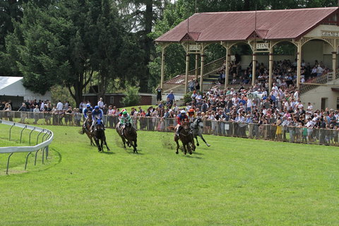 Tumut Derby Day - Darwin Tourism 0