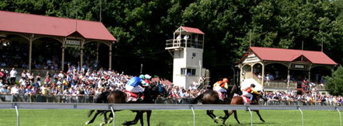 Tumut Derby Day - Darwin Tourism 1