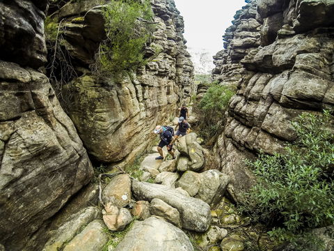 Wonderland Run - Darwin Tourism 2