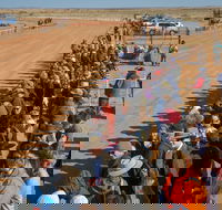 28th Marree Australasian CAMEL CUP 3 July 2021 - Darwin Tourism