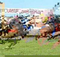 Casino Cup - Darwin Tourism