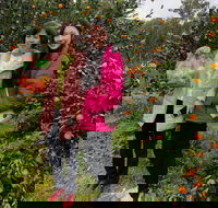 Fruit Taste Adventure Tours - Darwin Tourism