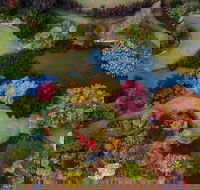 Glenrock Gardens Open Garden - Darwin Tourism