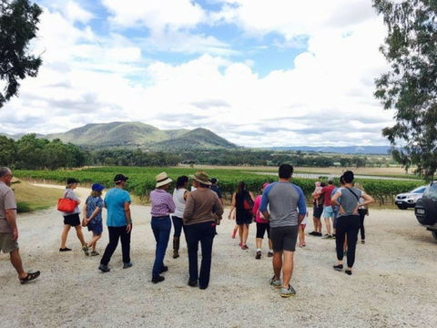 Mudgee Farm Walks - Darwin Tourism 1