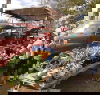 Murphys Creek Markets - Darwin Tourism