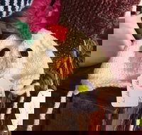 Murrindindi Beanie  Fibre Festival Online - Darwin Tourism
