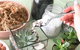 Online Live Streaming Class: Make Your Own Terrarium - thumb 0