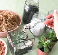 Online live streaming class Make Your Own Terrarium - Darwin Tourism