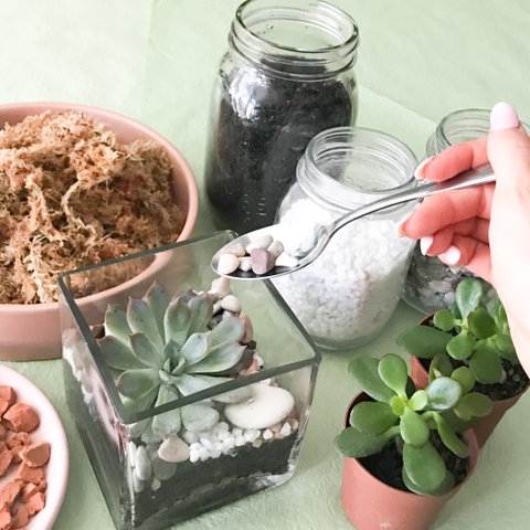 Online Live Streaming Class: Make Your Own Terrarium - Darwin Tourism 0