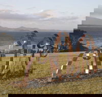 Sculpture Bermagui - Darwin Tourism