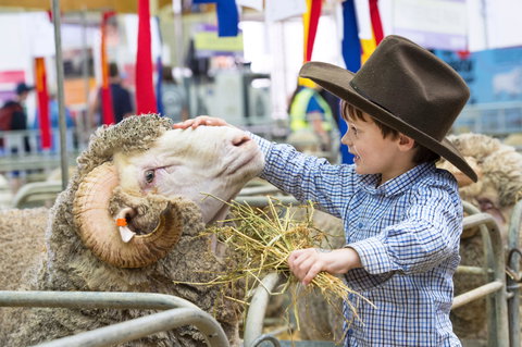 Sydney Royal Easter Show - Darwin Tourism 0