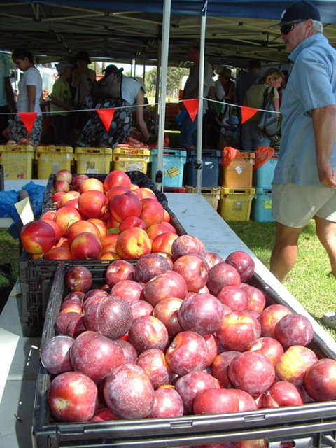 The Farmers Market On Manning - Darwin Tourism 0