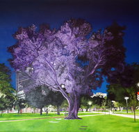 Adelaide Parklands Art Prize  Finalists Exhibition  Sale 2020 - Darwin Tourism