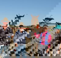 Annual Prairie Races - Darwin Tourism