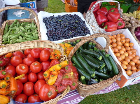 Armidale Farmers' Market - Darwin Tourism 1