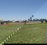 Balranald Races -Derby Day - Darwin Tourism