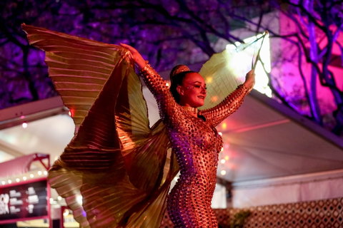 Brisbane Festival - Darwin Tourism 0