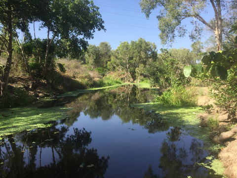 Conservation Volunteers Australia Townsville - Creekwatch - Darwin Tourism 0