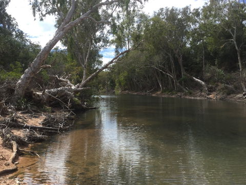 Conservation Volunteers Australia Townsville - Creekwatch - Darwin Tourism 2