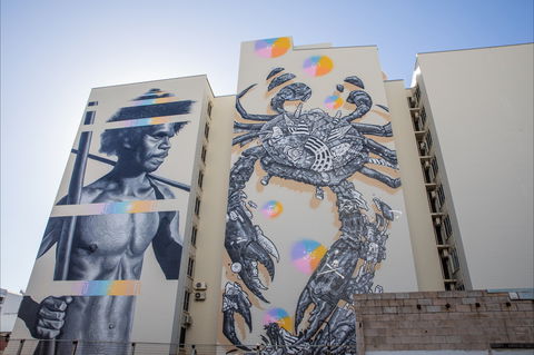 Darwin Street Art Festival - Darwin Tourism 2