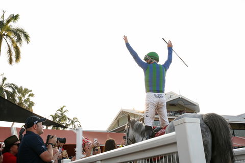 Great Northern Darwin Cup Carnival - Darwin Tourism 1